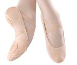 Il Conservatorio "A.Peri-C.Merulo" Partner di Nuovo Balletto Classico 
